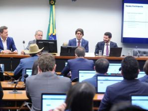 Grupo de Trabalho da Reforma Administrativa realiza primeira reunião com audiência pública    
